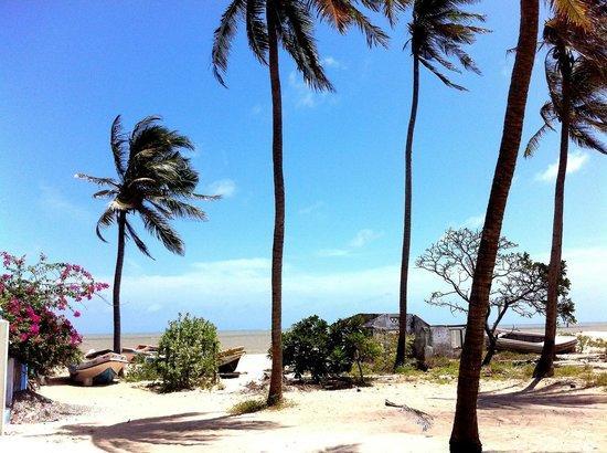 Scoop Cabana Kitesurfing Калпития Экстерьер фото